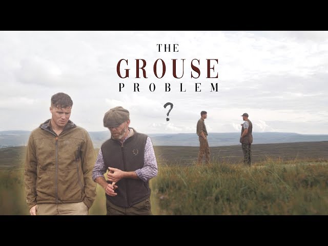 The Grouse Shooting Problem