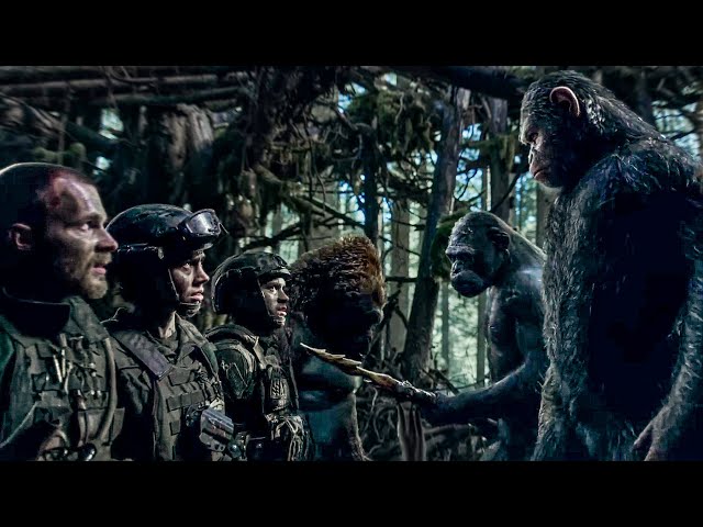 Human Soldiers Attack Apes Village | War for the Planet of the Apes