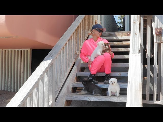 Paris Hilton's Home Activities: Malibu Quarantine Edition