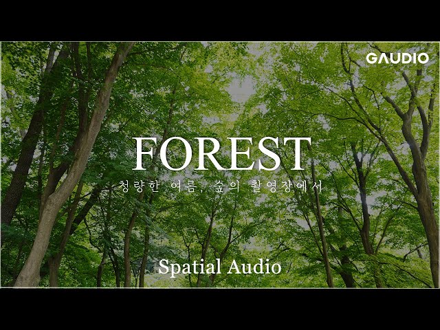 [ASMR] 조용한 숲을 울리는 리허설 사운드 | GAUDIO X DINGO Sound in the Lab 1화 | 숲 | 바이노럴 | Spatial Audio | 공간음향