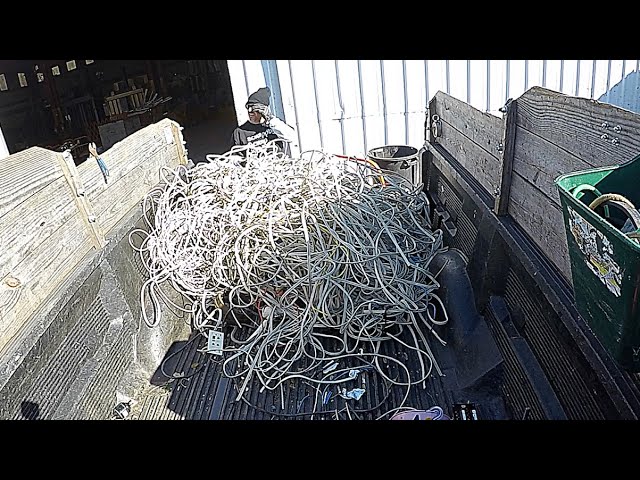 Cashing In On A Mountain Of CAT Wire At The Scrap Yard