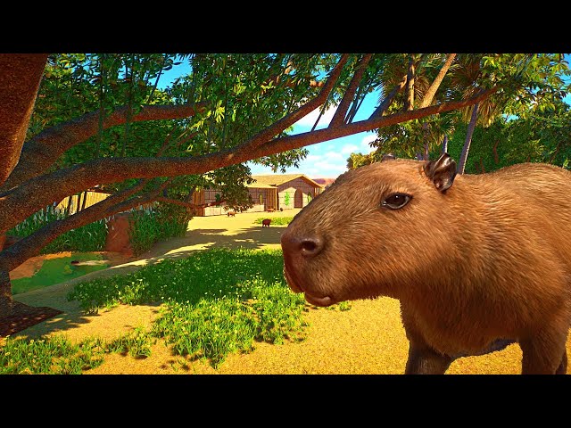 Starting an Ethical Zoo in Planet Zoo Franchise Mode