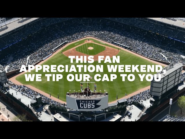 81 Moments That Brought Cubs Fans Together at Wrigley Field in 2023 | Fan Appreciation Weekend