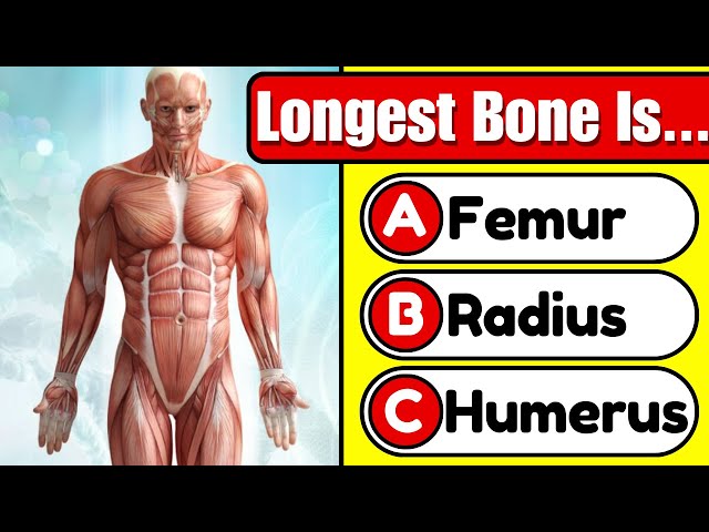 35 General Knowledge Questions 🧠 Human Body Edition