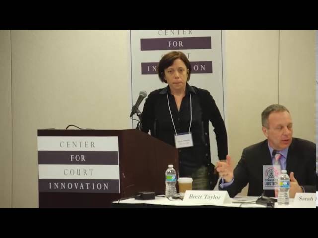 Advanced Topics in Risk and Needs Assessments: Panel at Community Justice 2016