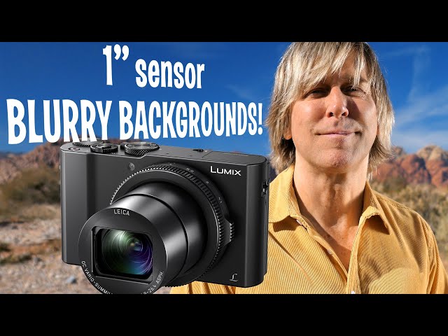 Panasonic Lumix LX10 half the cost of a Sony RX100vii with blurry background