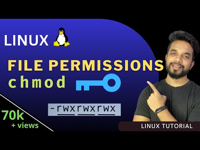 Linux File Permissions Explained | CHMOD Command in Linux | How to Check and Change Permissions