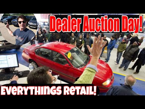 Dealer Auction Fun