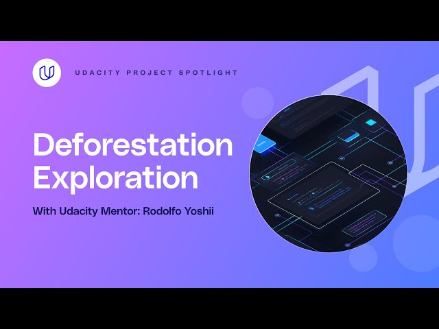 How To Use SQL To Decrease The Impact of Deforestation | Udacity Project Walkthrough