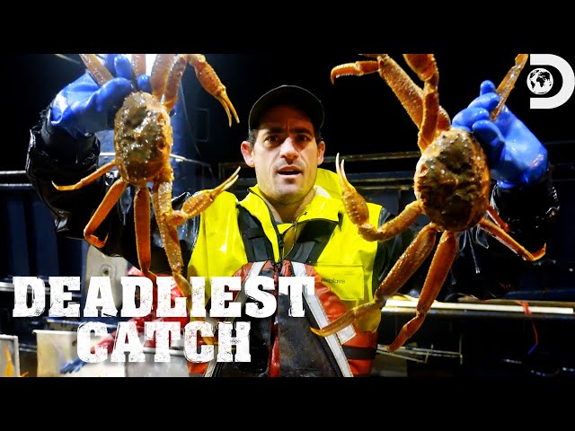 How Crab Fishermen Reshape Their Strategy for Success | Deadliest Catch | Discovery