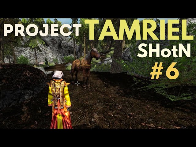 Project Tamriel: SHotN #6 | The Journey to Karthgad