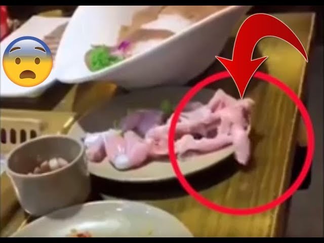 Raw Chicken Jumps off Plate 🙁 For Real? Someone Explain This! 😨 Zombie Chicken!