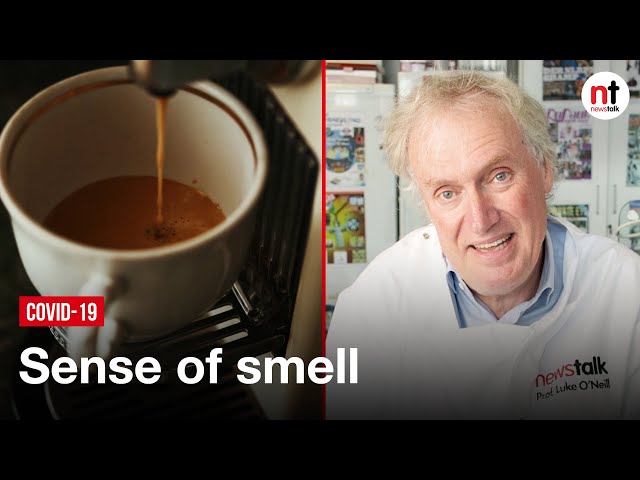 Sniffing Turkish coffee could return your sense of smell after coronavirus - Luke O'Neill