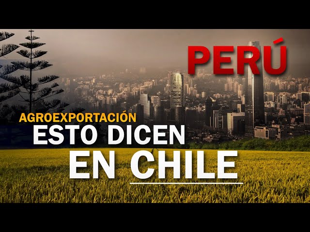 Chilenos ESTUDIARON el Potencial Peruano en la Agricultura, y estas fueron sus conclusiones...