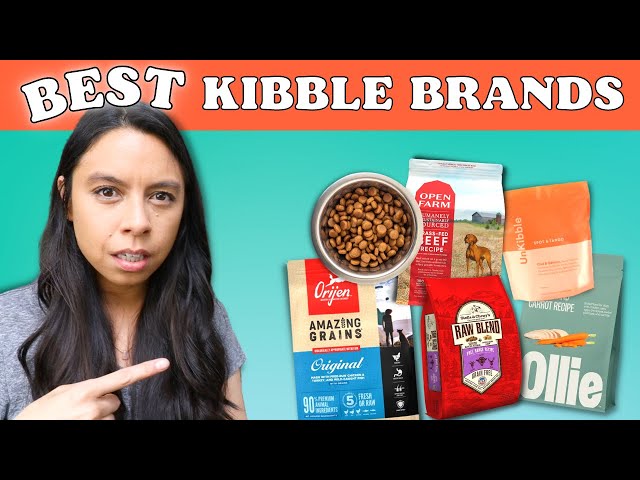 5 Best KIBBLE Brands?! Official Dog Food Review!