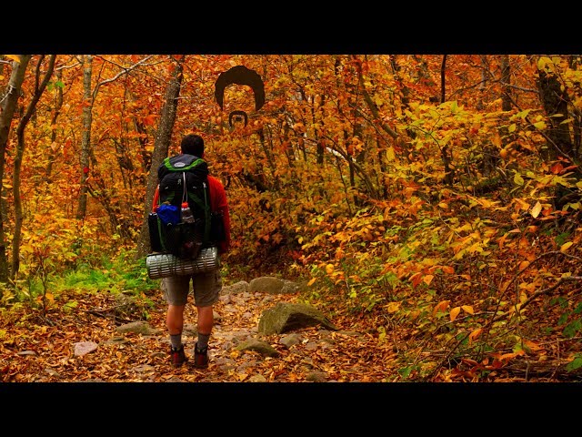 Backpacking the Burroughs Range Trail Loop in the Catskill Mountains of Upstate New York