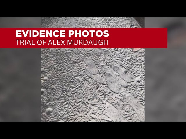 Evidence photos shown in murder trial of Alex Murdaugh