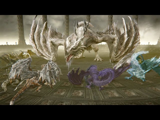 The Legendary Battle Royale of ALL DRAGONS - Elden Ring