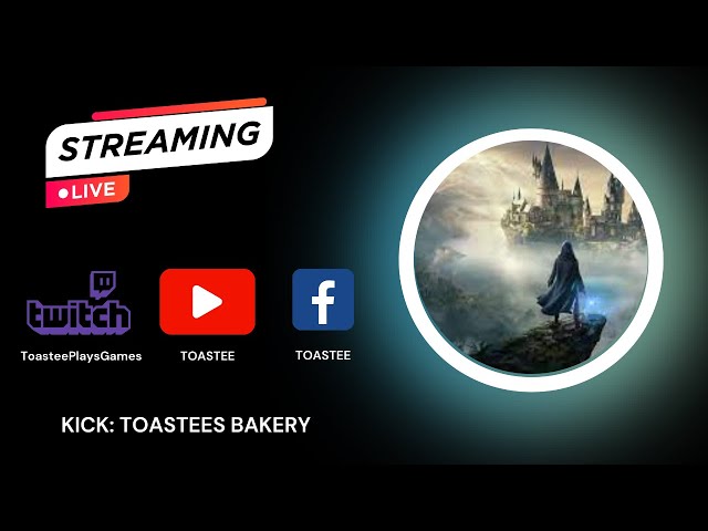 Hogwarts Legacy Livestream Part 1!