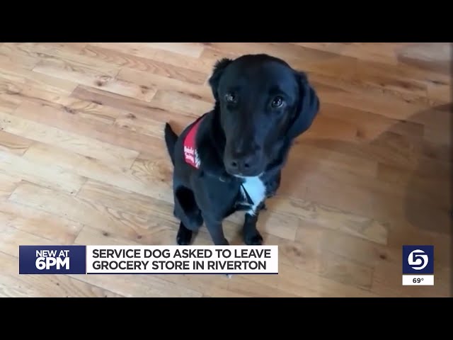 Service animal removed from grocery store. Does the ADA allow that?
