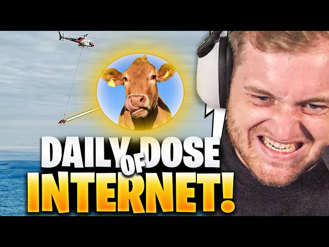 🤯😂KUH fliegt MIT HELIKOPTER?? - Daily Dose REAKTION  | Trymacs Stream Highlights
