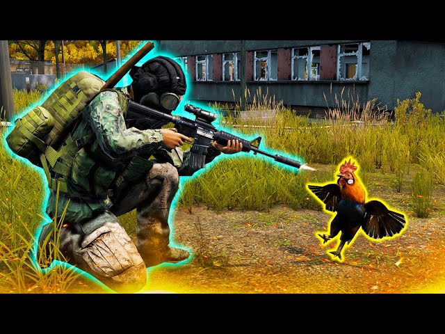 DayZ Moments to Brighten Your Day