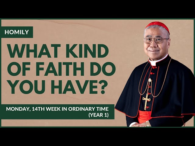 What Kind Of Faith Do You Have? - William Cardinal Goh (Homily - 10 Jul 2023)