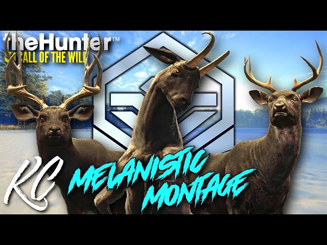 My Best Melanistic Trophies of All Time - 2022 Melanistic Montage | theHunter Call of the Wild