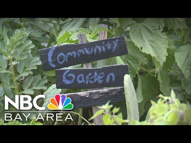 Valley Verde in San Jose offers community garden, sustainability tips