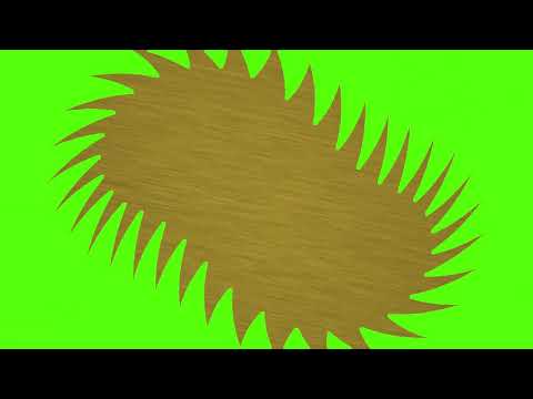 green screen transitions
