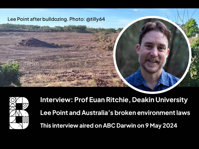 Prof Euan Ritchie talks to ABC News about Lee Point and Australia's broken environmental laws