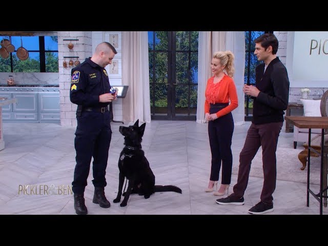 Meet Jett the Police Dog! - Pickler & Ben