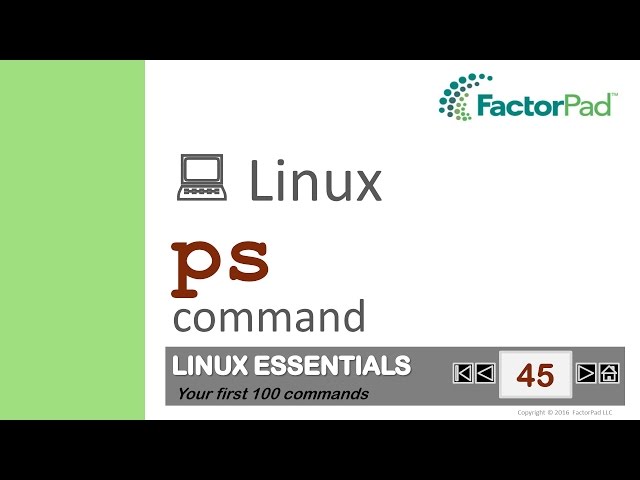 Linux ps command summary with examples