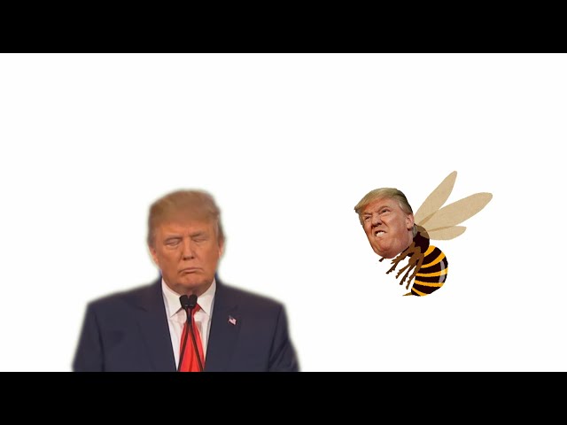 Trump getting stung by a Murder Hornet