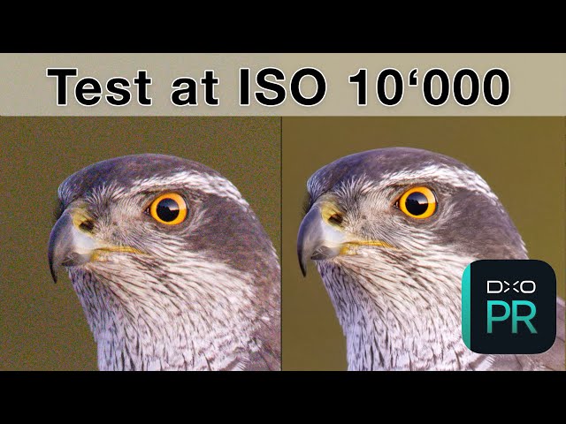 New King for Noise Reduction? DXO Pure Raw 3 vs Topaz Photo AI - Review