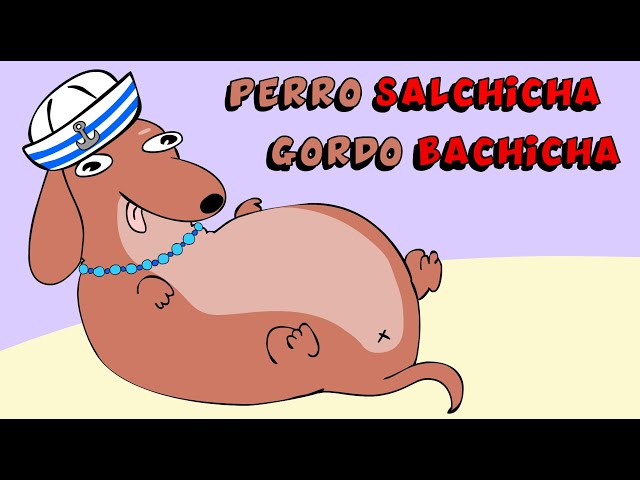 Cancion viral de TikTok:  Perro salchicha gordo Bachicha  / Animación