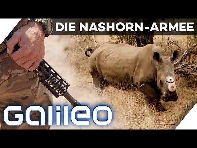 Elite-Einheit für den Tierschutz - Die Nashorn-Armee von Ralph Koczwara | Galileo | ProSieben |