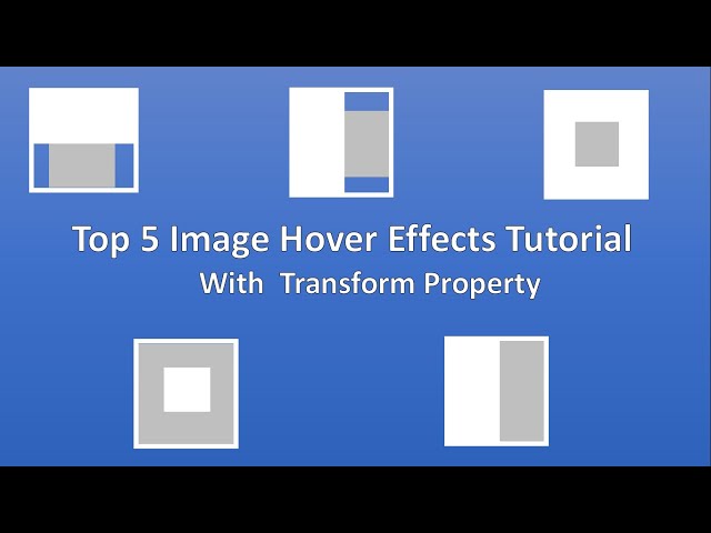 Top 5 Image Hover Effect With Transform Property Part 2 | Image Hover Effect With Pure HTML and CSS