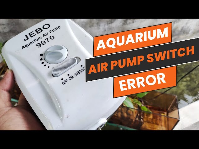 Aquarium Air Pump Switch Operating Unstable