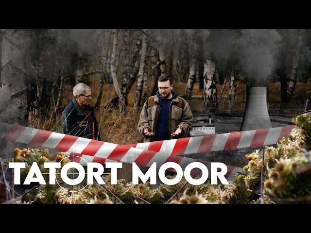 Moore: Wie wächst ein Moor? | Forst erklärt