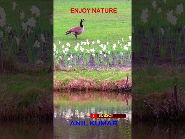 Just Enjoy Nature at Humber Arboretum Toronto Canada and Have a Great Day