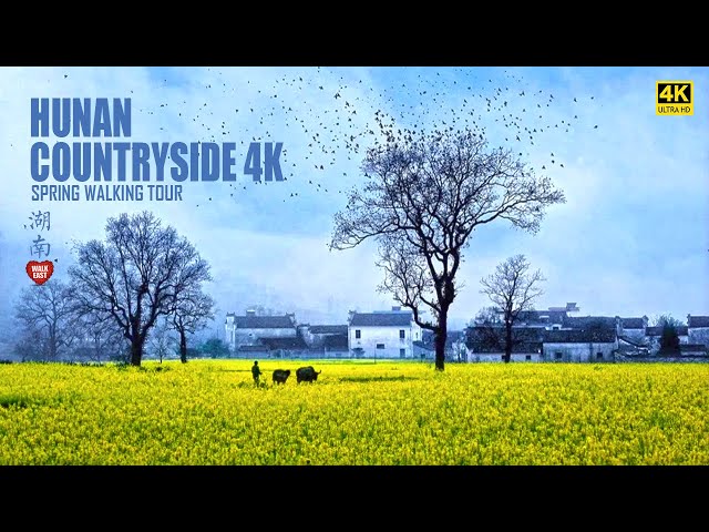 Hunan Countryside Spring Tour | China's Awesome Rural Places | 4K HDR