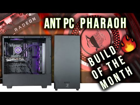 build of the week
