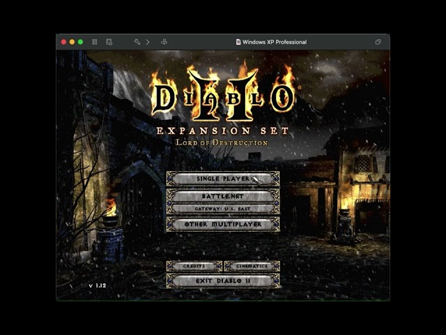 Diablo2 in a  WinXP VM