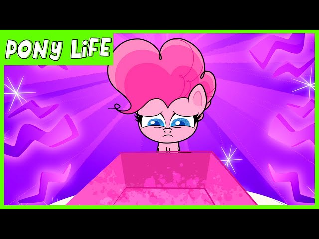 Pony Life | NEW | Pinkie Pie Laughter Moment - Kindness Day | MLP Pony Life
