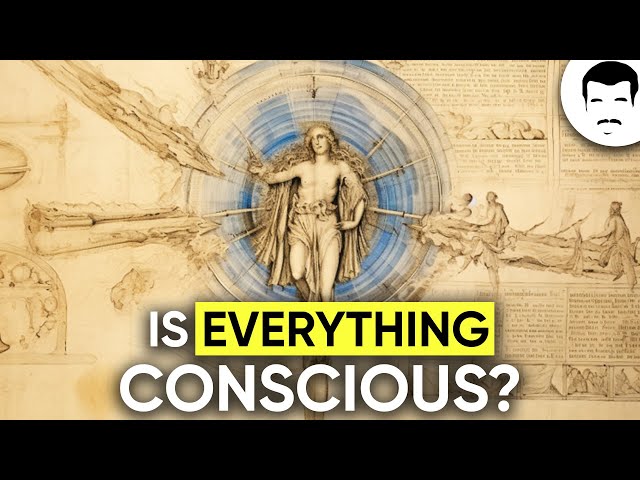 What is Consciousness? With Neil deGrasse Tyson & George Mashour