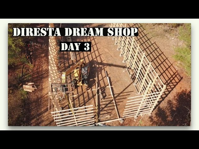 Day 3.. Diresta Dream Shop