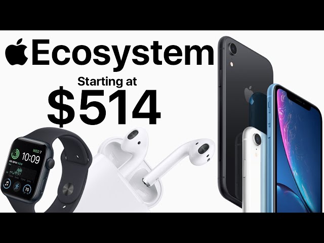 Building an Ecosystem for CHEAP