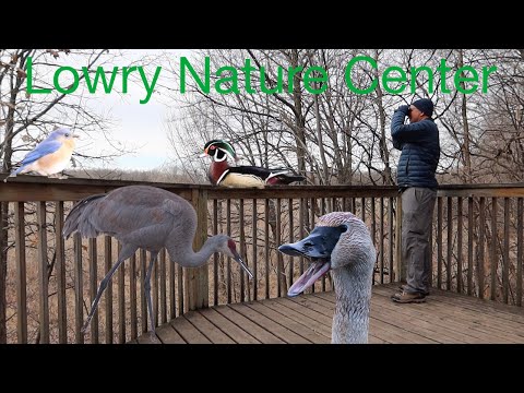 Minnesota Nature Centers in Spring