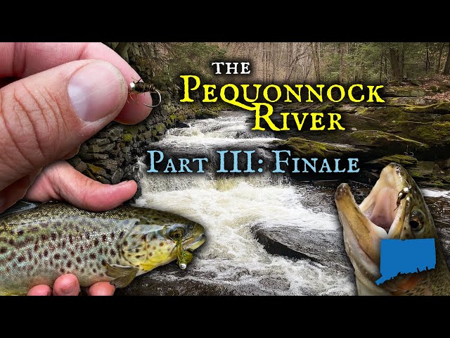 Spring TROUT JACKPOT on the Pequonnock River (Part 3: The FINALE!)
